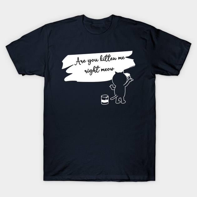 are you kitten me right meow T-Shirt by ALLAMDZ